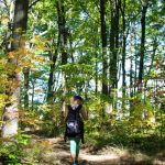 Sentiers pédestres Quatre Saisons